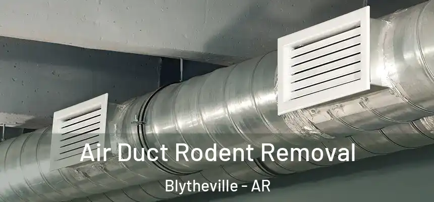 Air Duct Rodent Removal Blytheville - AR