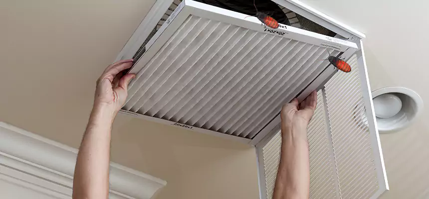 Preventive Cockroach-Proofing for Ducts in Blytheville