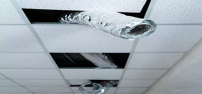 Affordable HVAC Sanitizing After Pest Removal in Blytheville