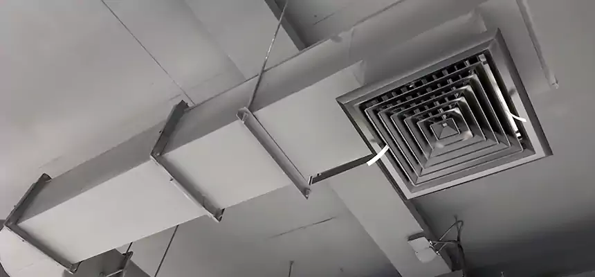 Our Pest Removal From Ducts Services in Blytheville, AR