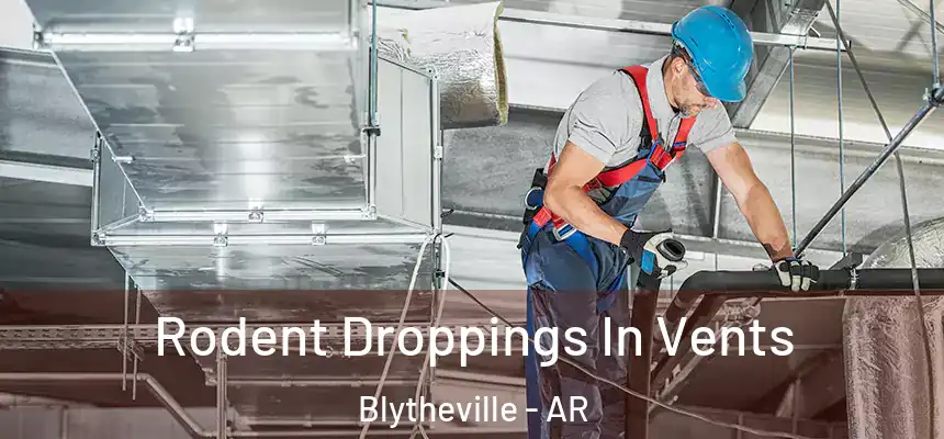  Rodent Droppings In Vents Blytheville - AR