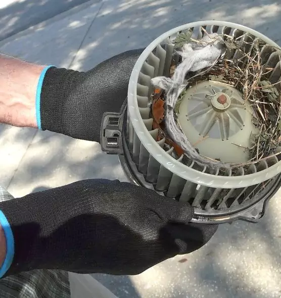 About Air Duct Mice Removal in Blytheville, AR