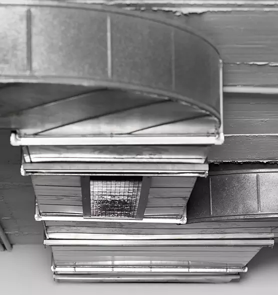 Professional Air Duct Pest Removal in Blytheville, AR