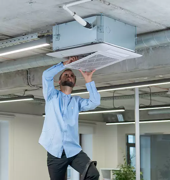 Advanced Rodent Droppings In Vents in Blytheville, AR