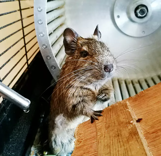 Why Homeowners & Businesses Trust Us Blytheville, AR?